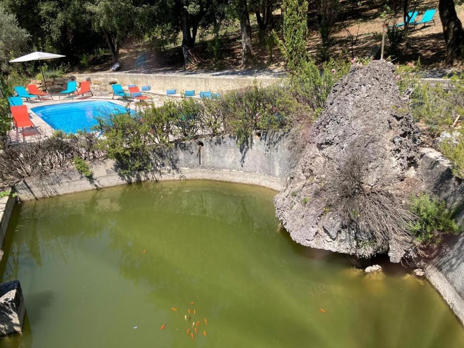 Les Horizons 800m centre ville Nyons- SPA- Jacuzzi - MASSAGE- SAUNA -Piscine CHAUFFÉE Exterior foto